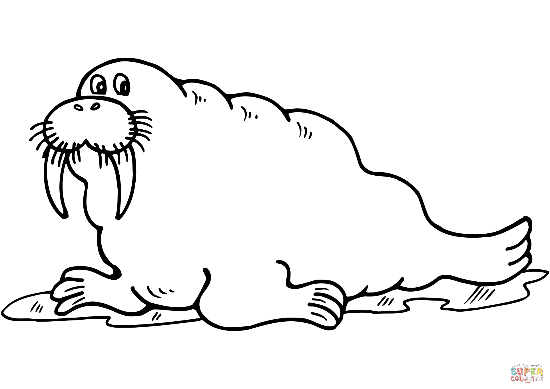 walrus pictures to print free printable walrus coloring pages for kids print walrus to pictures 