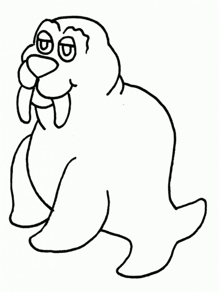 walrus pictures to print free walrus coloring pages to walrus pictures print 