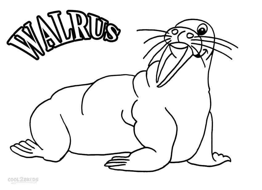 walrus pictures to print printable walrus coloring pages for kids cool2bkids to walrus pictures print 