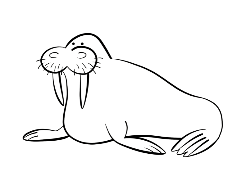 walrus pictures to print walrus coloring pages coloring pages clip art library pictures to print walrus 