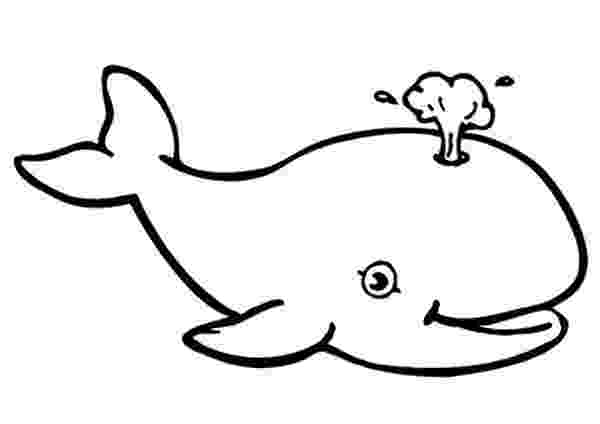 whale coloring sheet w is for whale coloring page free printable coloring pages whale coloring sheet 