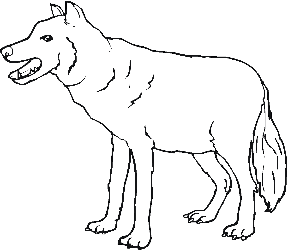wolf coloring page free printable wolf coloring pages for kids coloring page wolf 