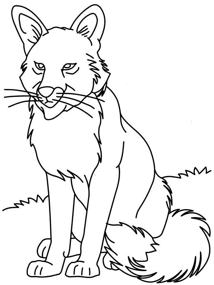 wolf coloring page free printable wolf coloring pages for kids coloring wolf page 1 1