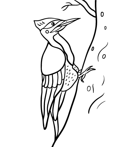 woodpecker coloring page woodpecker coloring sheet woodpecker page coloring 