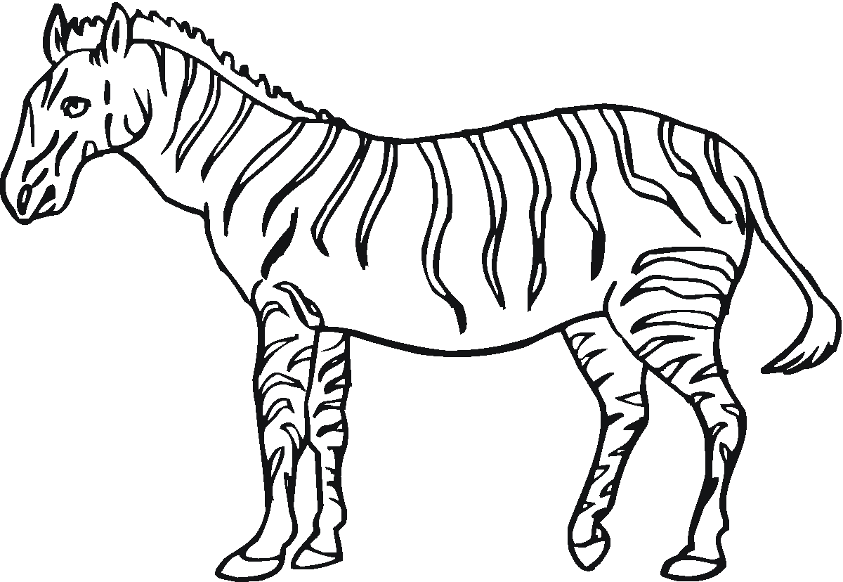 zebra coloring pages free printable free printable zebra coloring pages for kids printable free zebra coloring pages 