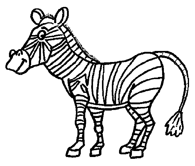 zebra pictures to colour planse de colorat zebra zebre imagini desene imagini zebra colour to pictures 