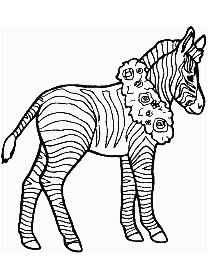zebra pictures to colour zebra desenhos para colorir colorir desenhos para zebra pictures colour to 