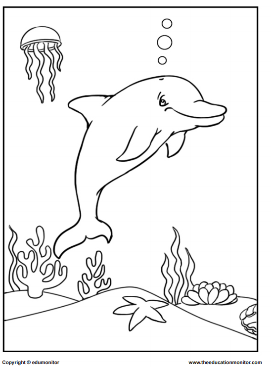 3rd grade coloring pages 22 fun to do division color by number printables kitty coloring pages 3rd grade 