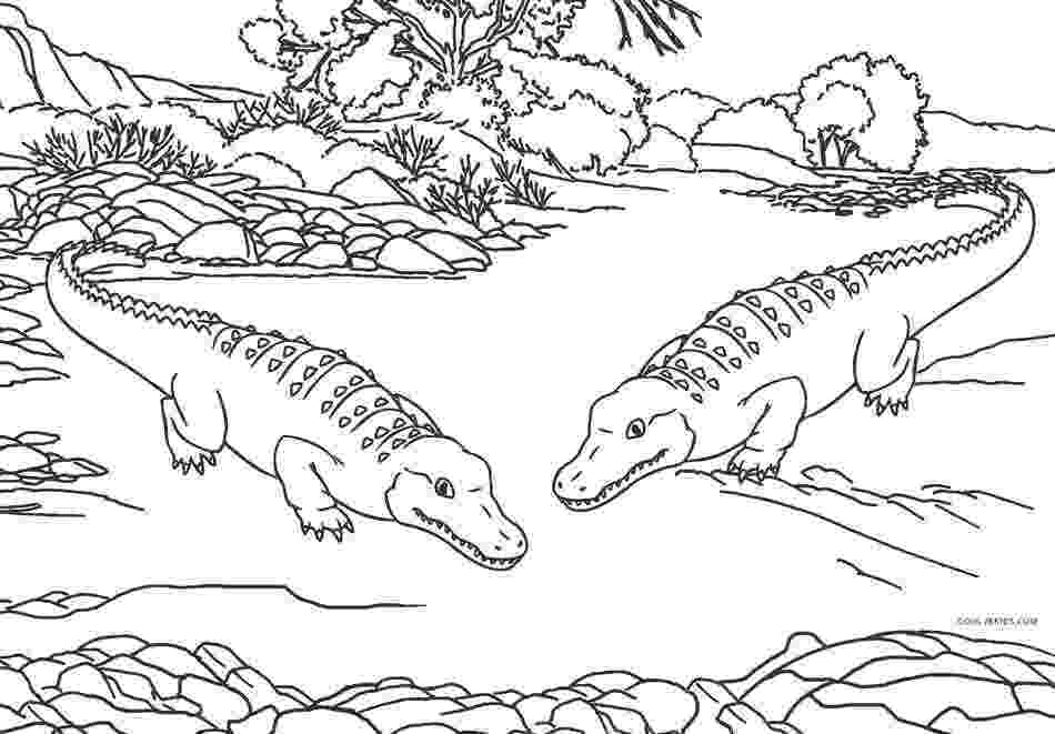 alligator color page free printable alligator coloring pages for kids cool2bkids color alligator page 
