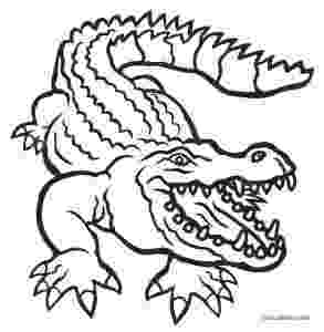 alligator color page free printable alligator coloring pages for kids cool2bkids color page alligator 