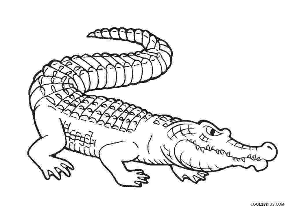 alligator color page free printable alligator coloring pages for kids cool2bkids page color alligator 