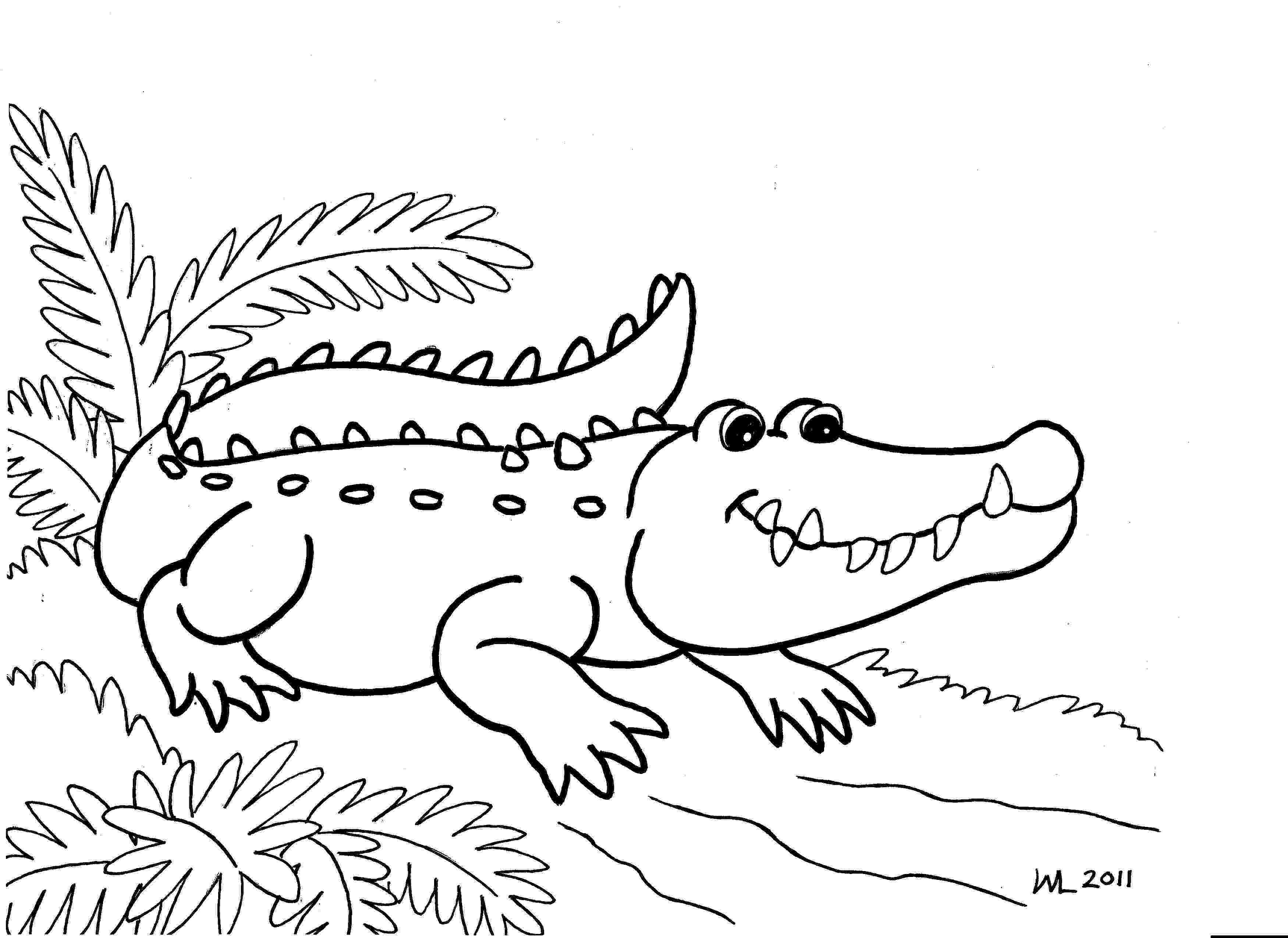 alligator color page free printable alligator coloring pages for kids page color alligator 