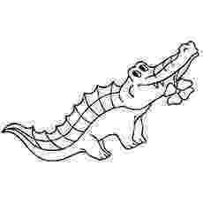 alligator color page top 25 free printable alligator coloring pages online alligator color page 