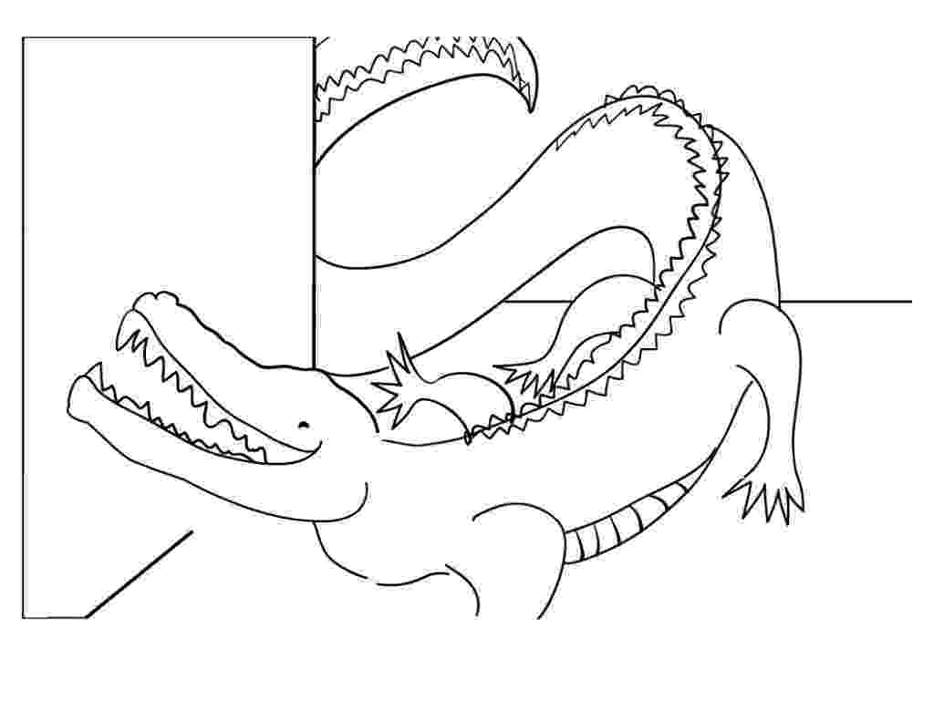 alligator coloring pages free printable alligator coloring pages for kids coloring pages alligator 