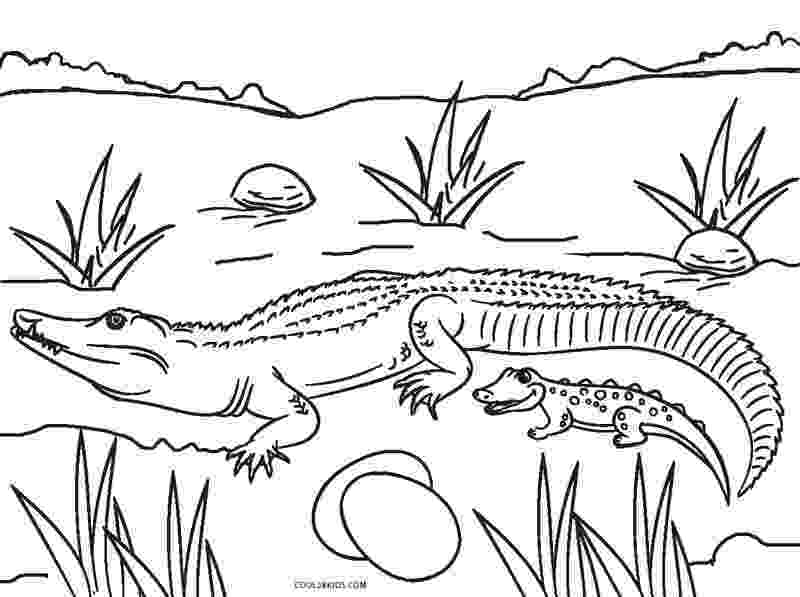 alligator coloring pages free printable alligator coloring pages for kids cool2bkids coloring pages alligator 1 1