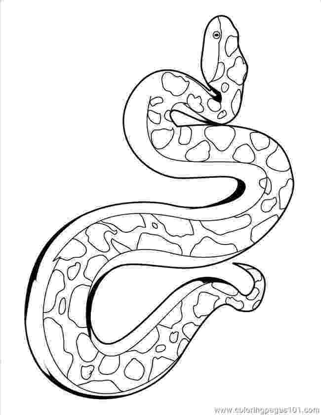 anaconda coloring page anaconda coloring page coloring pages snake23 reptile coloring page anaconda 