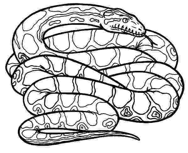 anaconda coloring page how to draw anaconda snake coloring page coloring sky page coloring anaconda 