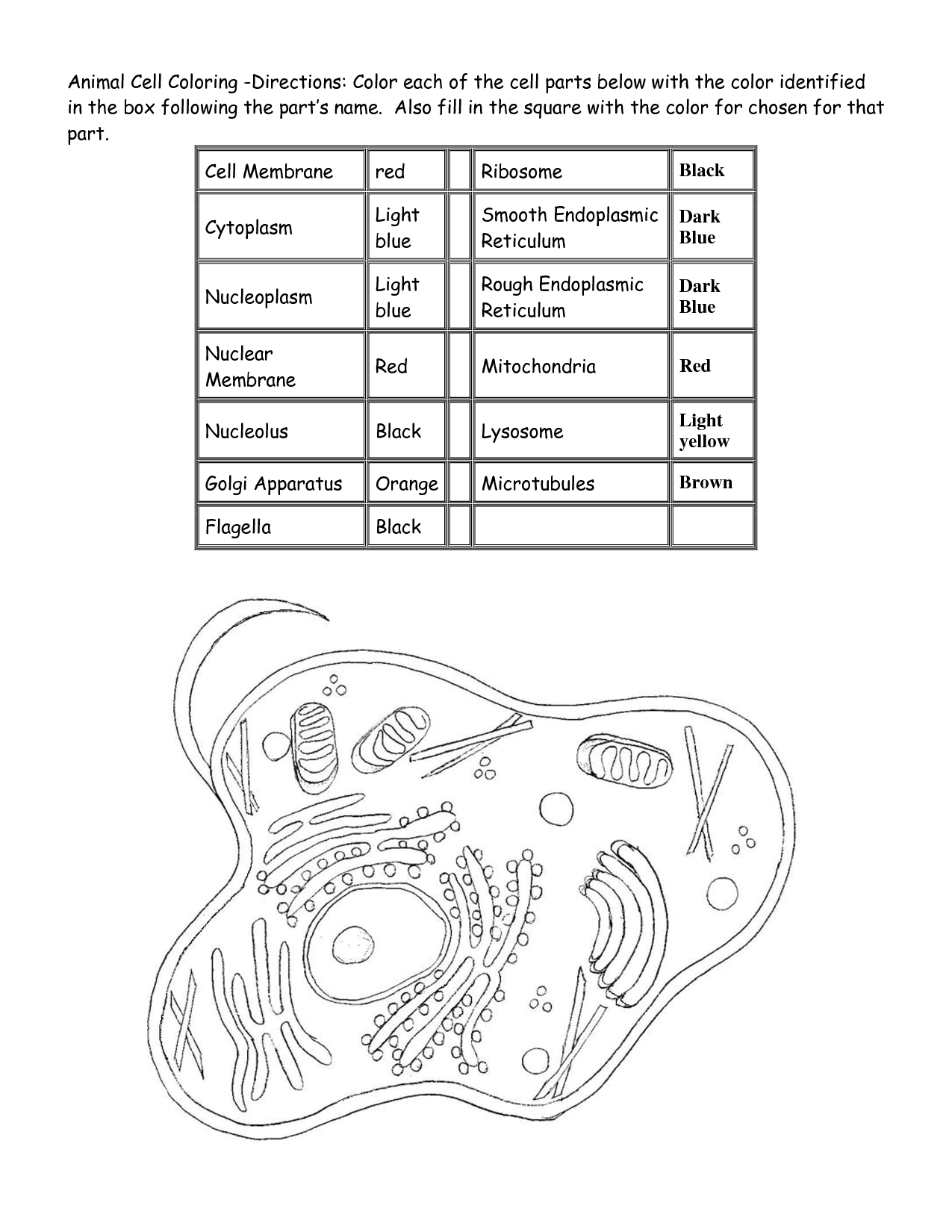 animal cell coloring page biology coloring pages worksheets asu ask a biologist cell page coloring animal 