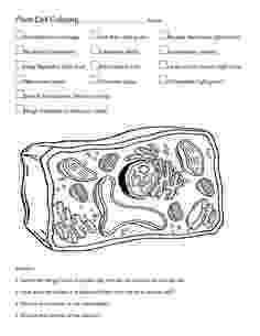 animal cell coloring page plant cell coloring diagram worksheet answers science page coloring animal cell 