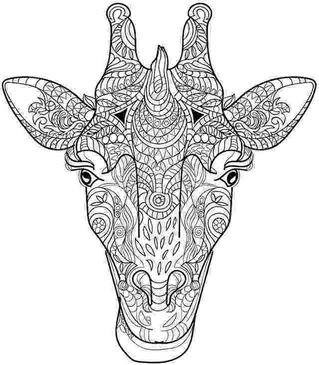 animal coloring pages adults animal coloring pages for adults best coloring pages for coloring animal pages adults 