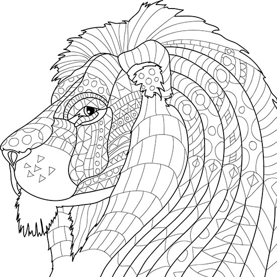 animal coloring pages adults animal coloring pages for adults best coloring pages for coloring pages adults animal 