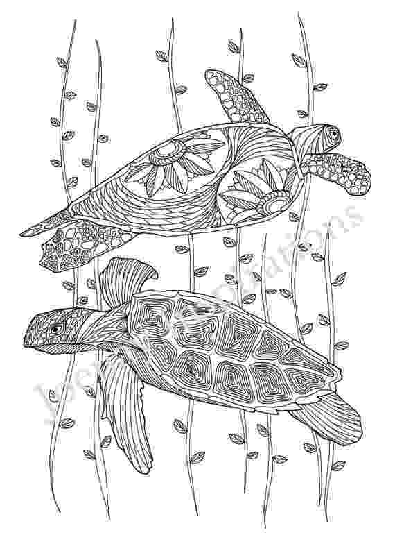 animal coloring pages adults animal coloring pages pdf free adult coloring pages coloring animal pages adults 
