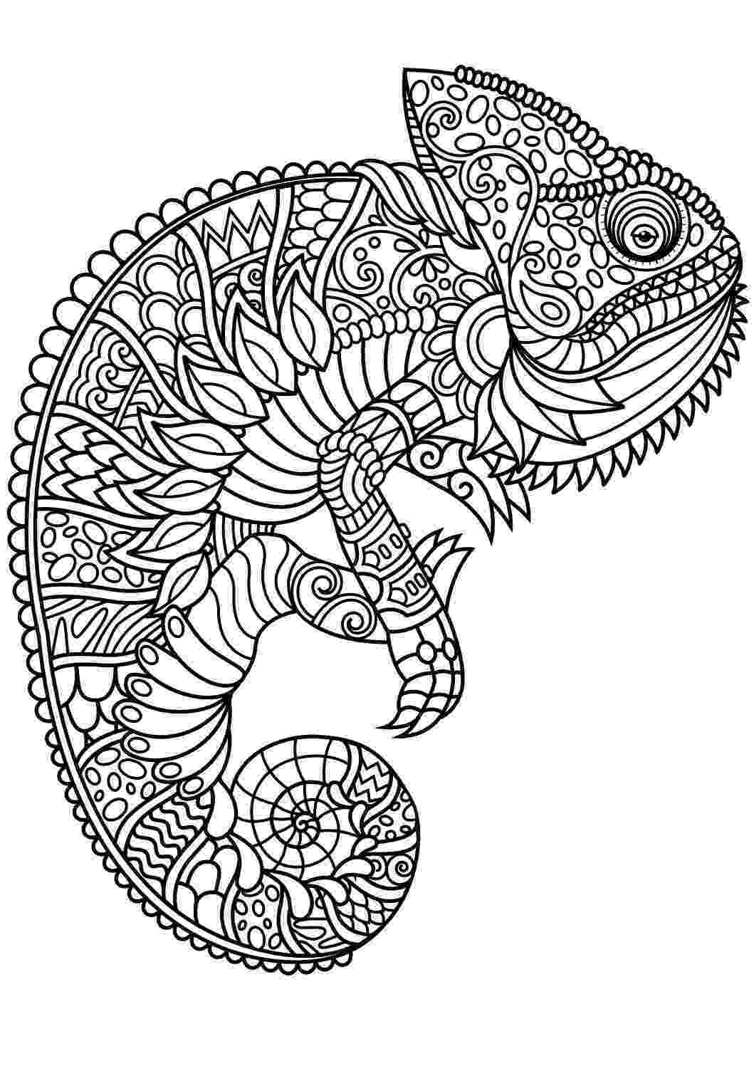 animal coloring pages adults animal coloring pages pdf horse coloring pages dog adults pages coloring animal 
