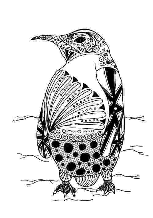 animal coloring pages adults coloring pages pages animal coloring adults 