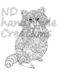 animal kingdom coloring book raccoon animal kingdom search and animals on pinterest book animal kingdom coloring raccoon 
