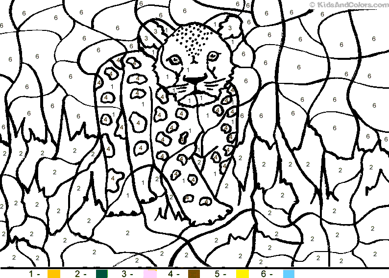 animals colouring by numbers camille de montmorillon animalcolorbynumber parrot animal color by number numbers de colouring by animals camille montmorillon 