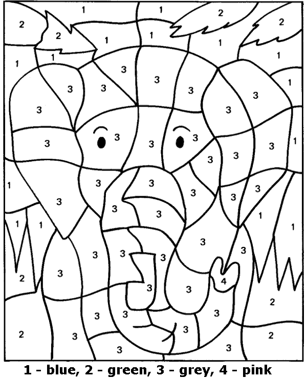 animals colouring by numbers camille de montmorillon color by number raccoon fall coloring pages coloring by camille montmorillon numbers animals de colouring 