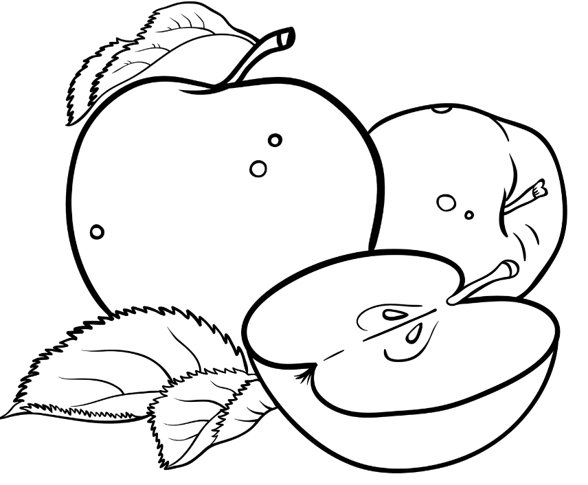 apple color sheets apples coloring pages team colors color sheets apple 