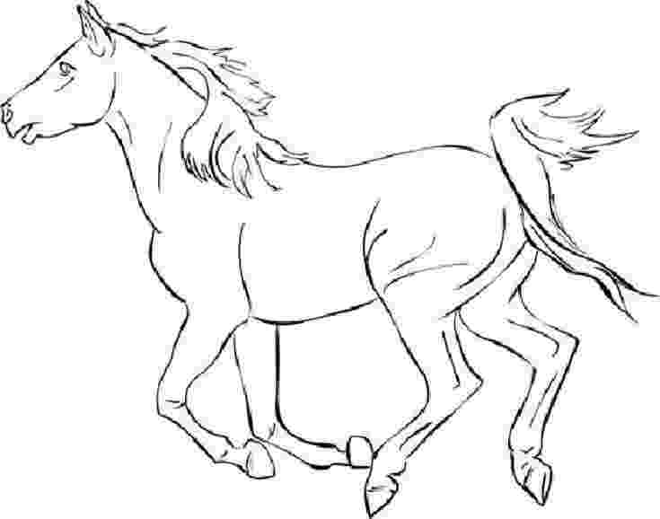 arabian horse pictures to print 35 free horse coloring pages printable print to horse arabian pictures 