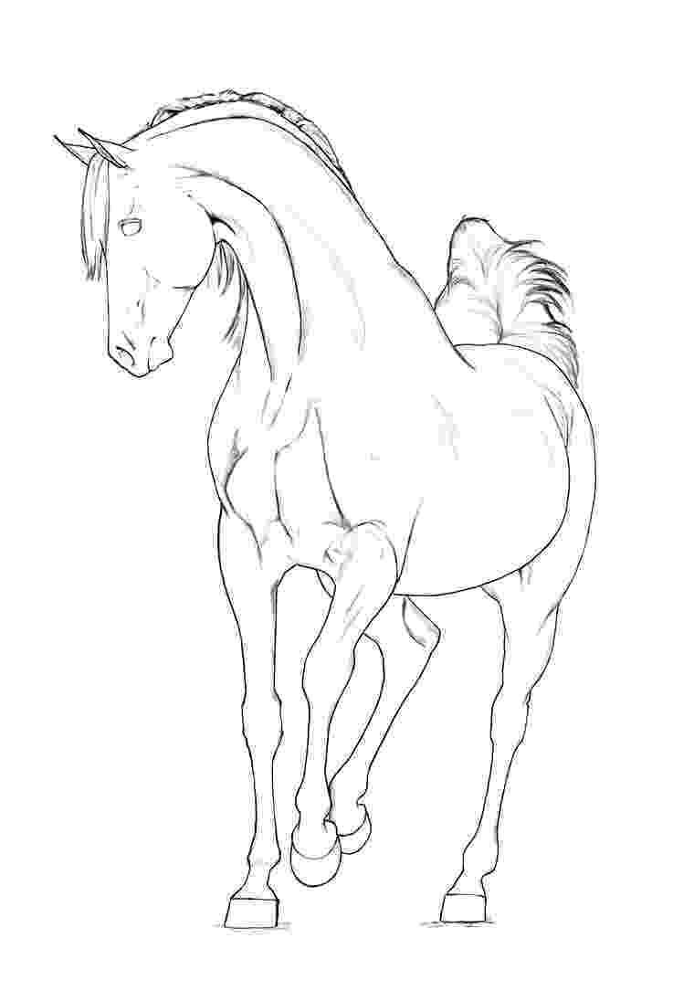 arabian horse pictures to print arabian coloring pages coloring pages print to pictures horse arabian 