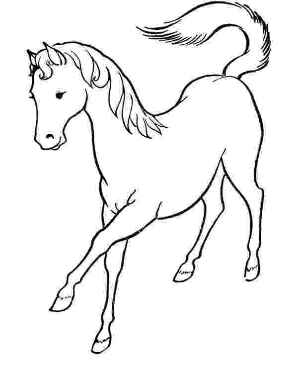 arabian horse pictures to print realistic arabian horse coloring coloring pages pictures arabian to horse print 
