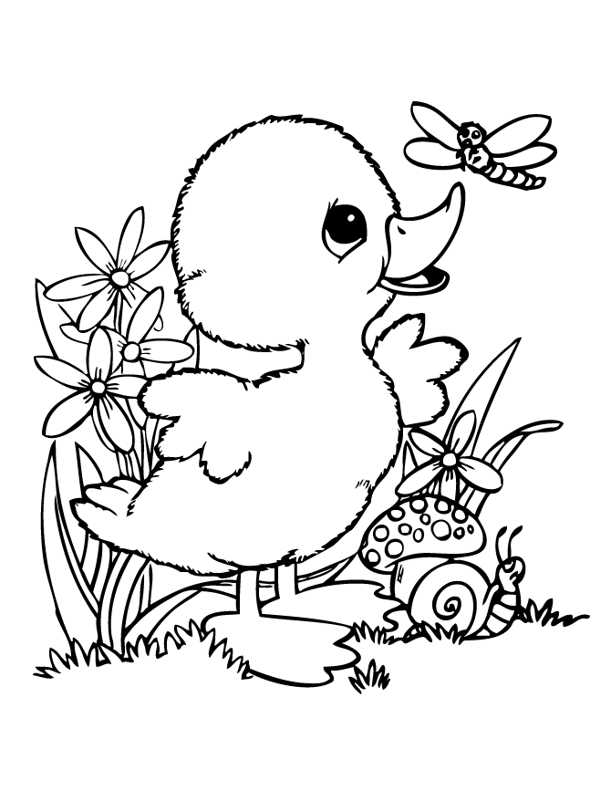 baby duck coloring pages printable duck coloring pages for kids cool2bkids pages coloring duck baby 