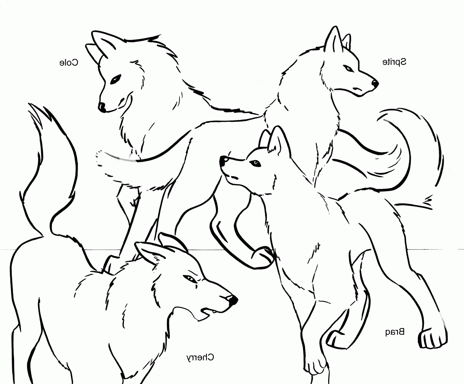 baby wolf coloring pages wolf pup coloring pages coloring home coloring pages baby wolf 