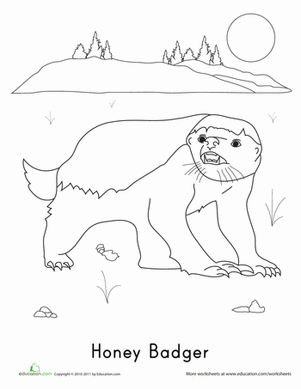 badger coloring page badger coloring pages learny kids badger page coloring 