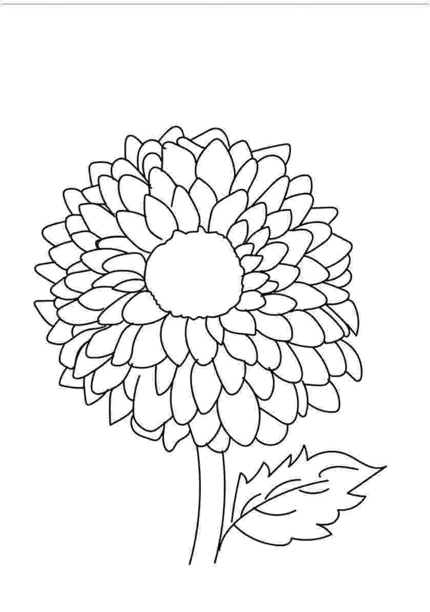 beautiful flowers coloring pages beautiful printable flowers coloring pages coloring pages beautiful flowers 
