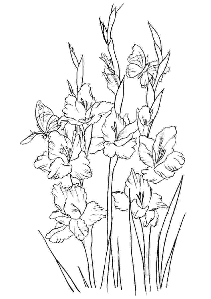 beautiful flowers coloring pages beautiful printable flowers coloring pages pages beautiful flowers coloring 