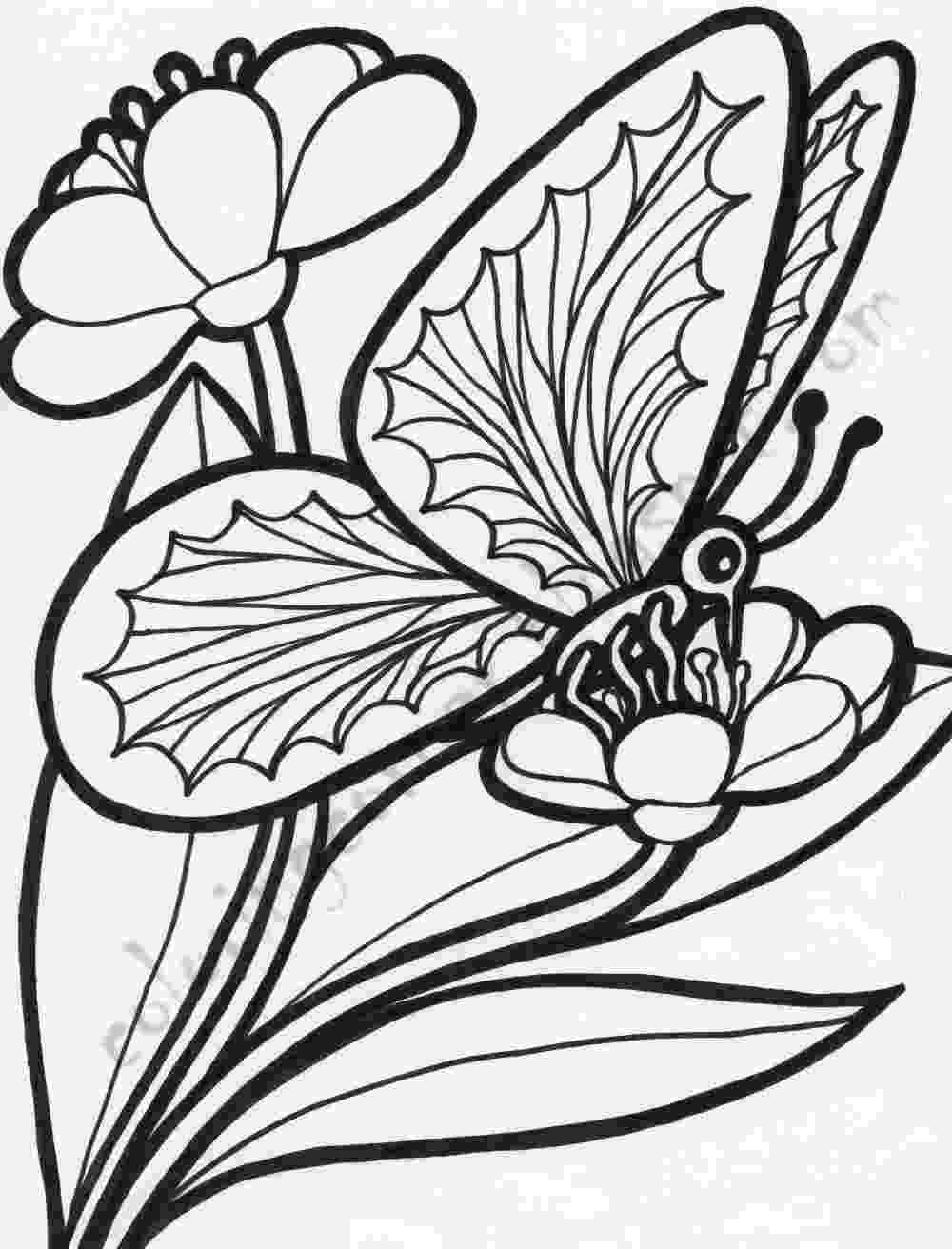 beautiful flowers coloring pages coloring pictures of flowers and butterflies beautiful beautiful flowers coloring pages 