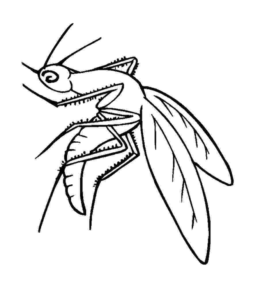 best coloring pages 2015 free printable mosquito coloring pages for kids 2015 best pages coloring 
