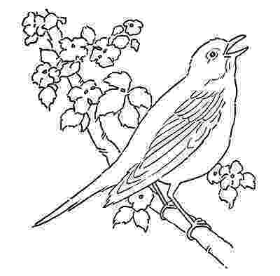 bird color pages adult coloring pages sparrow birds zentangle doodle coloring bird pages color 