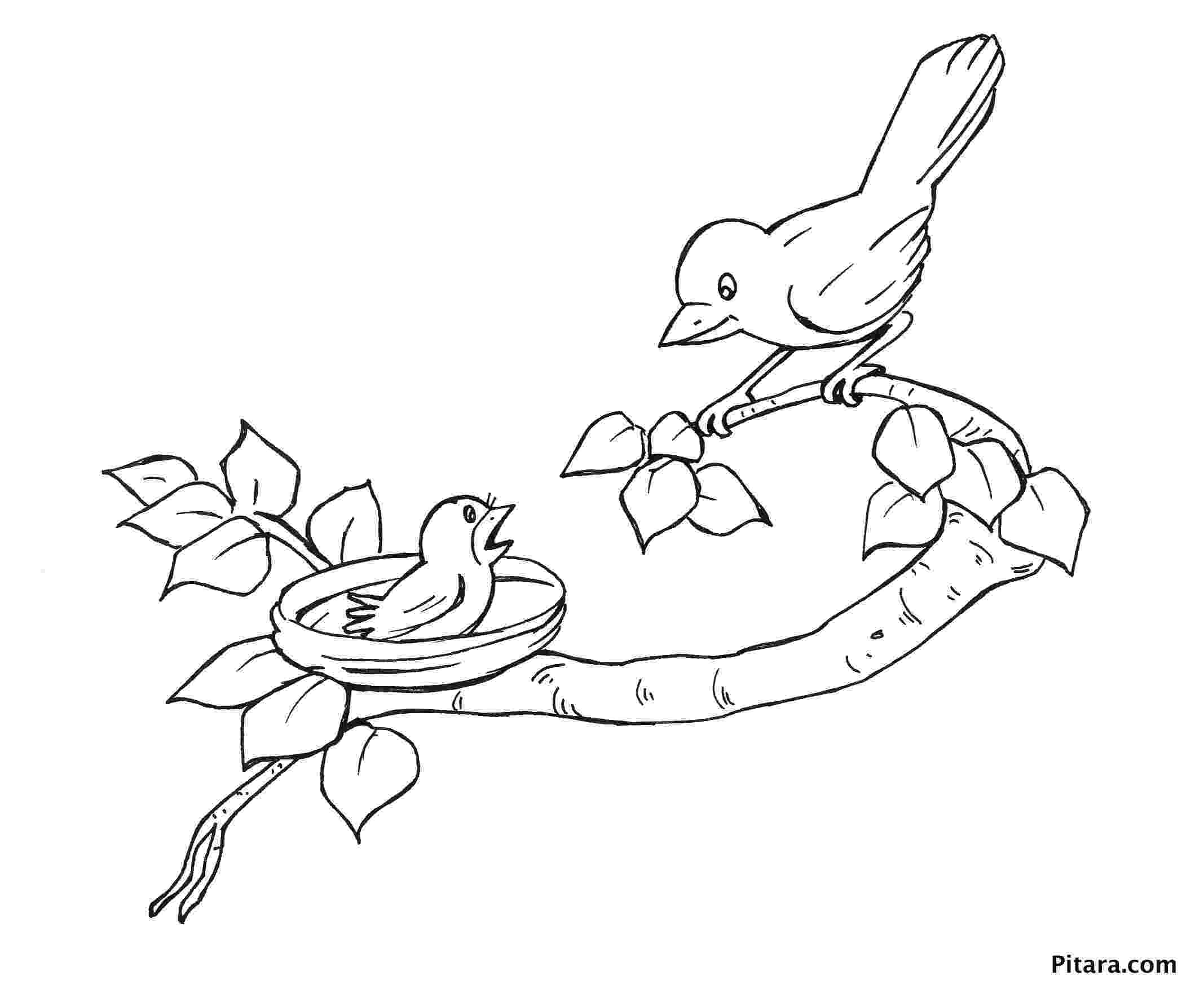 bird color pages birds coloring page happy family art bird color pages 