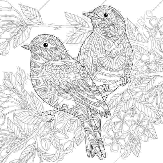 bird color pages cute bird coloring page wecoloringpagecom bird color pages 