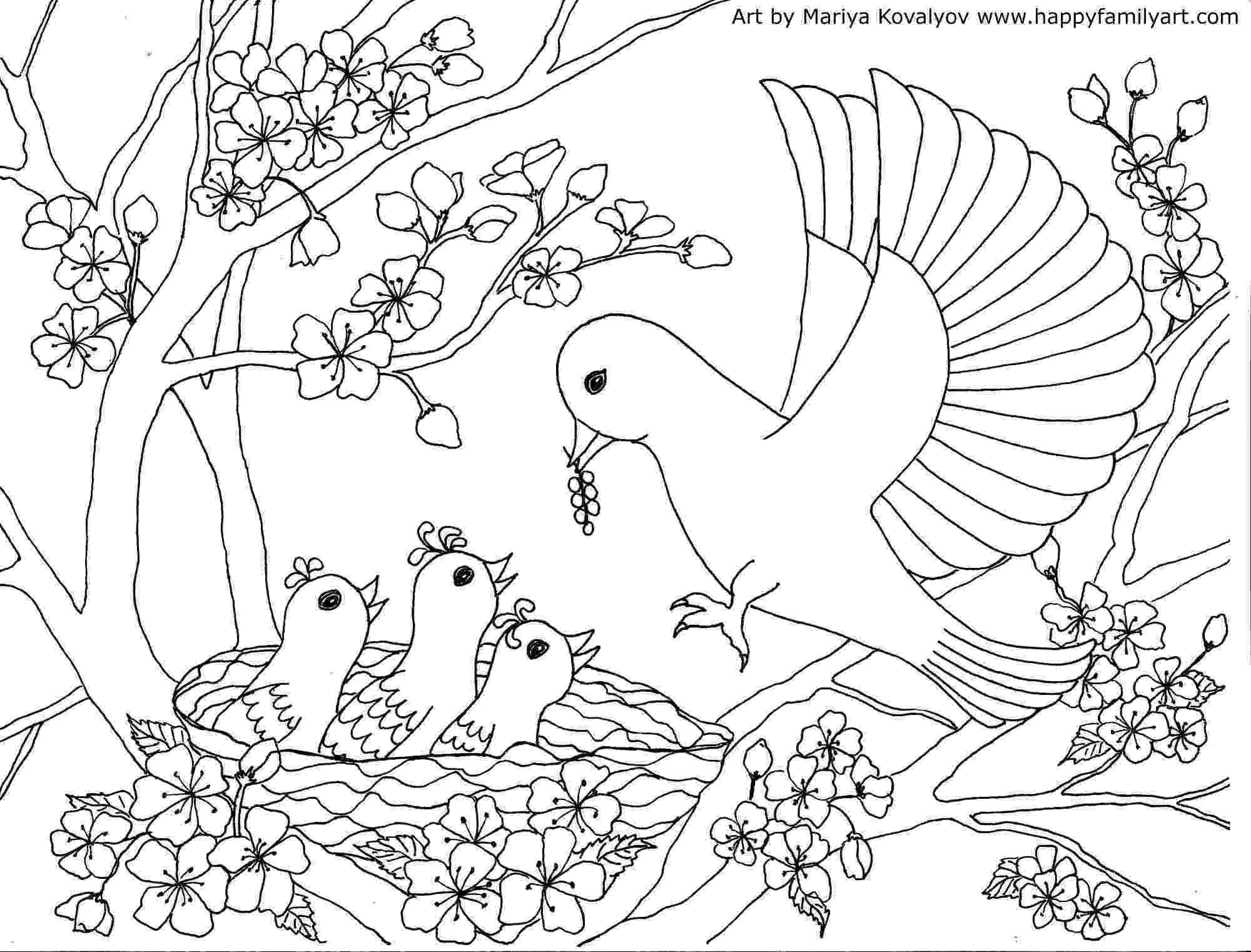 bird color pages eagle bird coloring pages to printable color bird pages 