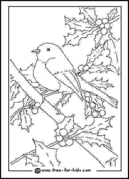 bird color pages kids printables archives page 2 of 4 the graphics fairy pages color bird 