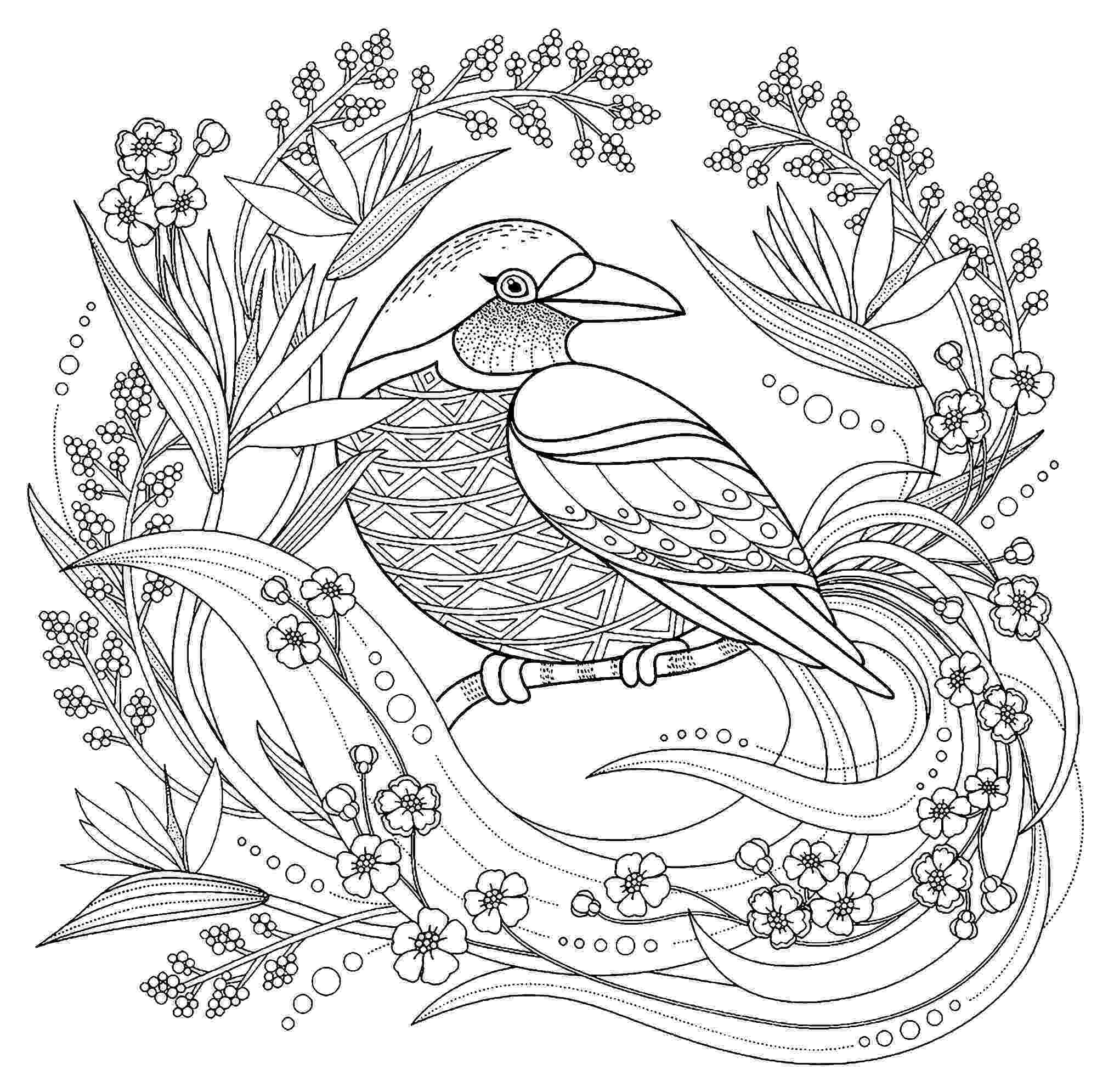 bird coloring sheet bird coloring page others at this site bird coloring bird coloring sheet 