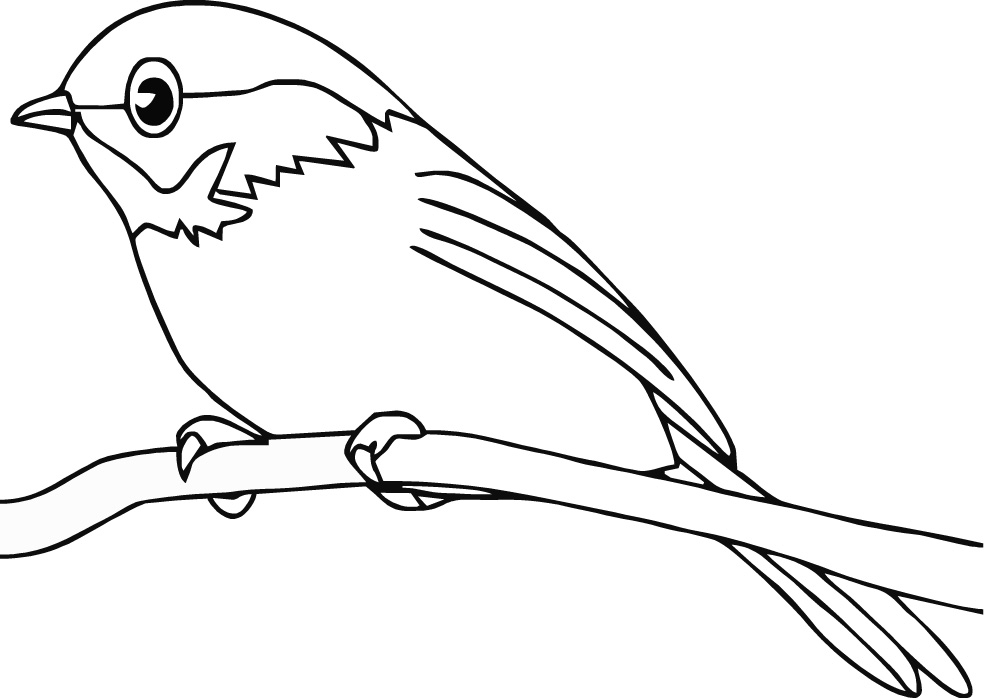 bird printable bird coloring pages bird printable 