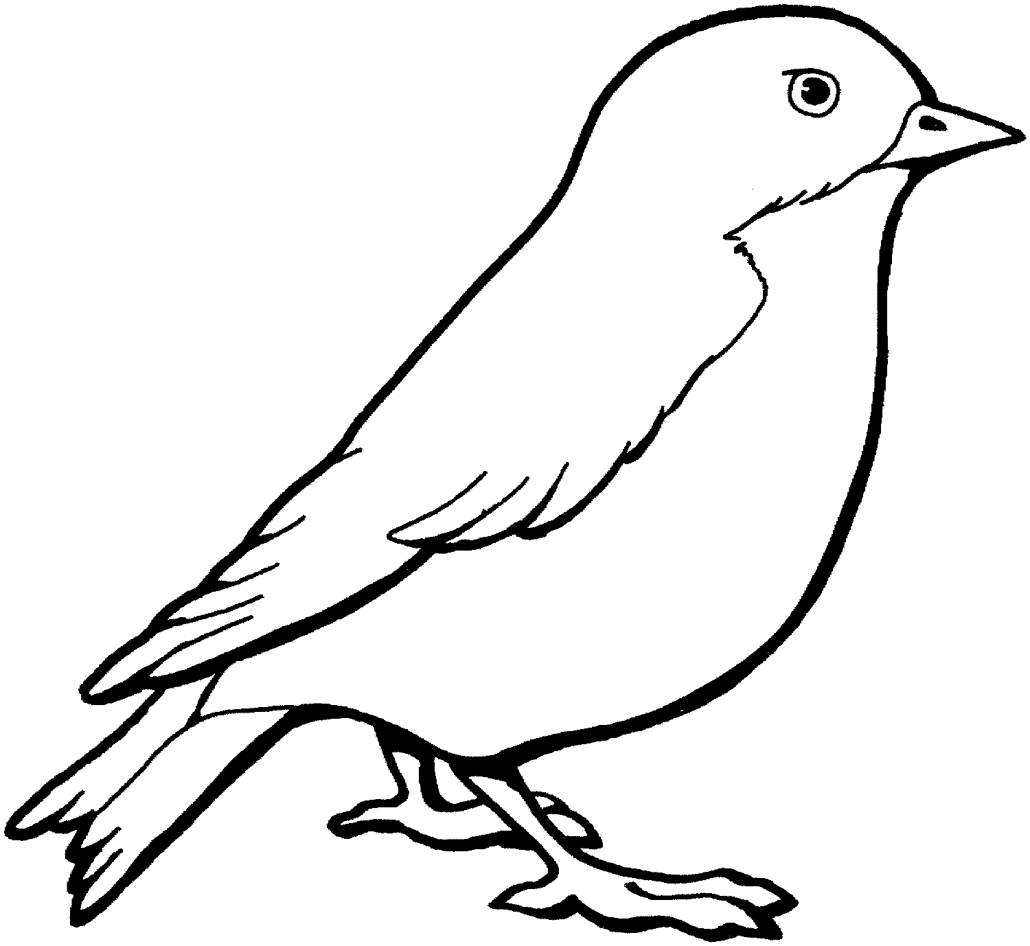 bird printable bird coloring sheet bird coloring pages simple bird bird printable 